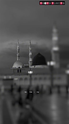محمدنبيناﷺ #اكسبلور