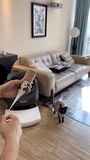 How to make a treat launcher #catsoftiktok #petparents #uspet #apartmentcats #multicathouse