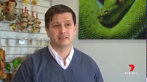 13K views · 30 reactions | An exotic pet vet clinic has opened its first practice in regional Queensland. The Unusual Pet Vets newest clinic is based on the Sunshine Coast, treating numerous varieties of animals from exotic birds and chickens to fish, insects, and spiders. 7NEWS at 6pm. More local news: 7news.com.au/news/qld #7NEWS | 7NEWS Sunshine Coast | Facebook