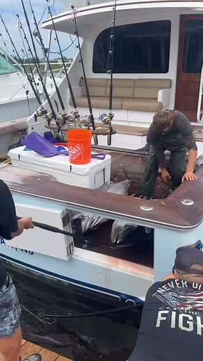 @bluerunnersportfishing doing their thing 😤 #tuna #midatlantic #fishing #offshore #bigfish #bigboats #bigeye #yellowfin #tunafishing 📸🎥: @bluerunnersportfishing | MidAtlantic Tournament