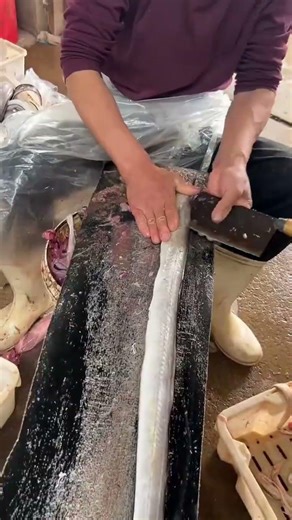 Wild goods, my hometown specialty, seafood