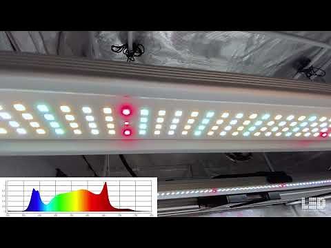 Mammoth Lighting Mint White Grow Light Review by ledgrowlightdepot.com