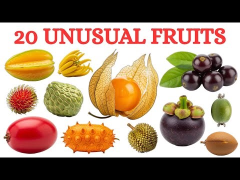 Unusual Fruits Name | Exotic Fruits in English | Rare Fruits List | Learn Fruits