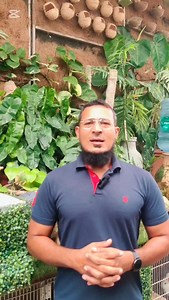 "Birds & Plants Together – Cost to Build a Walk-In Aviary Garden 03328295665 WhatsApp "ایویری اور گارڈننگ کا حسین امتزاج – مکمل لاگت اور گائیڈ" #birdslover #gardening #walkinaviary #birdlovers | Ahsaan Elahi