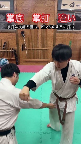 The difference between palm strike and palm strike!? How to do it and how to aim explained!