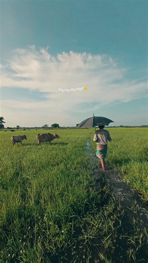 taxiwala 💞#lovesong #movie #telugumusic #teluguhitsongs #video