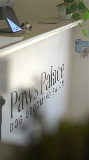 🛁 From scruffy to so fluffy! 🐾 We’re all about clean paws, shiny coats, and happy smiles here at Paw Palace in Santa Clara. 🐶 #grooming #santaclara #dog #sanjose #pawspalace #puppy #doggroomer #doggrooming #bayarea | Paws Palace