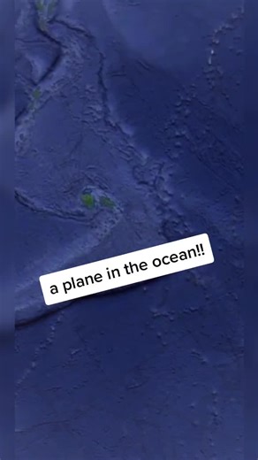 Exploring an Airplane in the Ocean on Google Earth