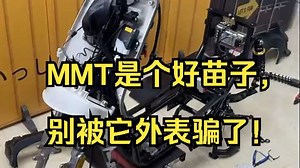 MMT是个好苗子，别被它外表骗了！