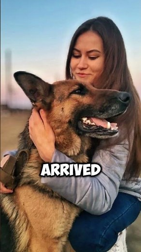 This woman slept with her dog every night, but she made a discovery that shocked the whole world.😱😲