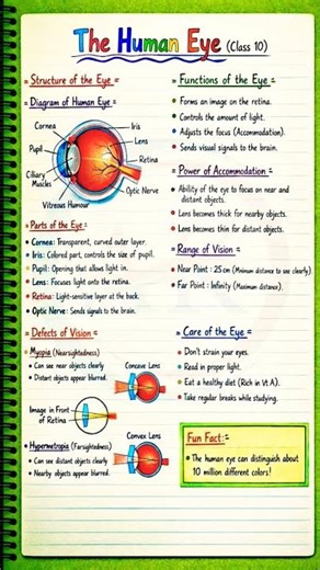 👁️ The Human Eye – Class 10 Science | Complete Chapter in One Green Board Notes 🌿 | CBSE 2025