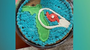 Publix makes hurricane cookie cake as Dorian moves towards Florida