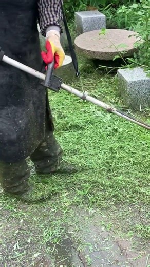 마당에서 예초기 작업.#풀 #잔디 #벌초 #예초기 #줄날 #칼날 #ZENOAH #BK4302 #automobile #줄다리기 #lawncare #farming #satisfying