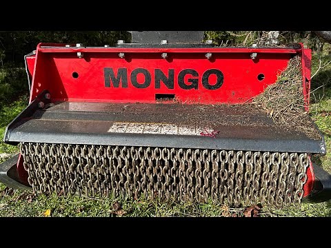 Mulching an old fence line with the ‪@MongoAttachments‬ high inertia head