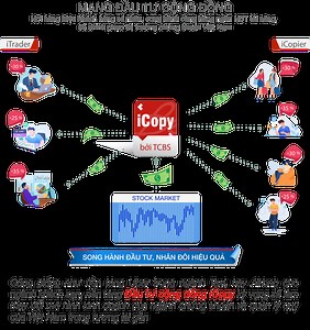 iCopy TCBS - Công cụ sao chép giao dịch hiệu quả