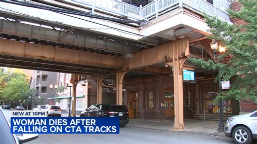 Person dies after falling onto CTA tracks on Near North Side, Chicago police say
