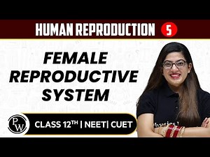 Human Reproduction 05 | Female Reproductive System | Pure English | 12th / NEET