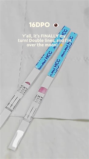 Understanding Your Pregnancy Journey: A Comprehensive Guide