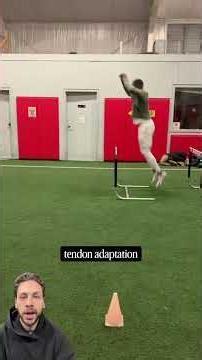 Tendon Stiffness ≠ Muscle Stiffness