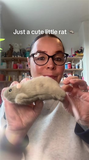 #rat #rats #tiktokmademebuyit #dealdrops #tiktokshop