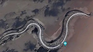 Giant ‘snake skeleton’ discovered on Google Maps, buzz on Titanoboa rife; but there’s a catch