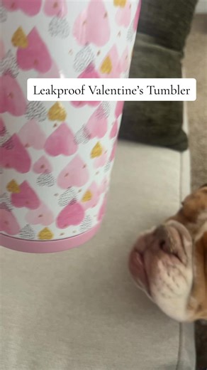 @MeokyshopUS has the best leakproof tumbler for Valentine’s Day! These are fantastic because you no longer have to worry they’re going to leak on the floor of your car, your work bag, etc! . . . . . . #meoky #tumblersoftiktok #valentinesday #valentinesdaygift #pinkaesthetic