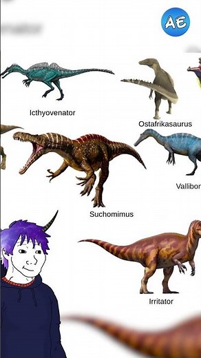 Interesting Facts About Sigilmassasaurus, Spinosaurus' Close Relative from Africa! 🦖🌍 #uniquefact...