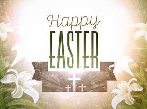 Easter Lilies Motion 1 | Playback Media