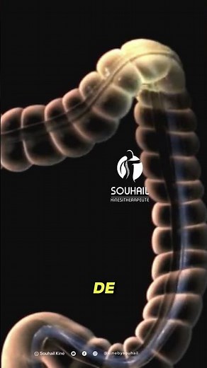 All About Colonoscopy: What You Need to Know