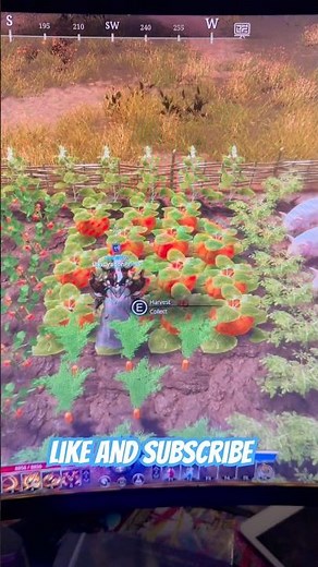 Farming Tips For The QuinFall Level Faster. #gaming