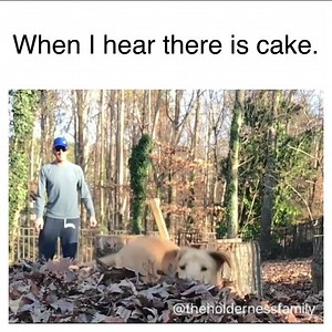 The Holderness Family on Reels