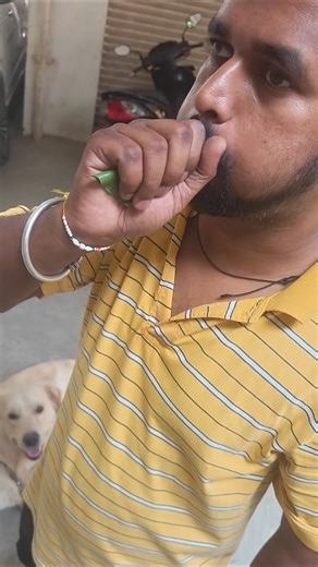 How to Make a Whistle with a Leaf! 🍃