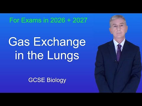 GCSE Biology Revision "Gas Exchange in the Lungs"