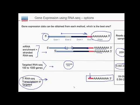 QIAseq UPX kits for 3’ RNAseq for low input and single cell samples