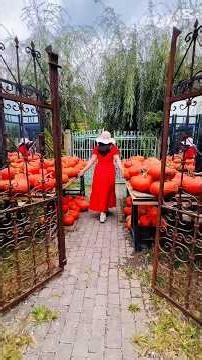 Gardenia Shevardnadze, Georgia – The Iconic Georgian Beauty!