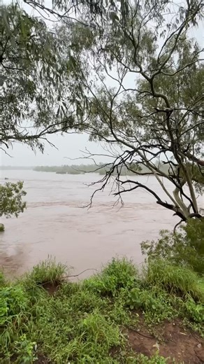 Miss Chardy on Instagram: "The mighty Leichhardt River just behind our house. Very steep bank on our side which the video doesn’t show at all. We are usually on a massive bend in the river but she has a good old flow on at the moment. This video shows how it has risen over the past 2 days."