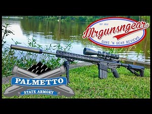 Palmetto State Armory Gen2 6.5 Creedmoor PA-10 Rifle Review