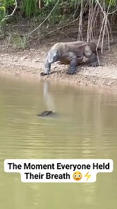 6.4M views · 24K reactions | “Komodo Dragon vs Electric Eel — The Moment Everyone Held Their Breath ⚡ #animals #wildlife | Bhola Kashyap | Facebook