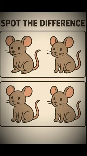 Can you find the 3 differences between these two cute rats? 👀🐭 Comment your score!”