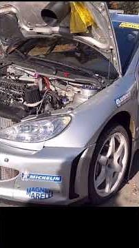 Peugeot 206 WRC Rally Car