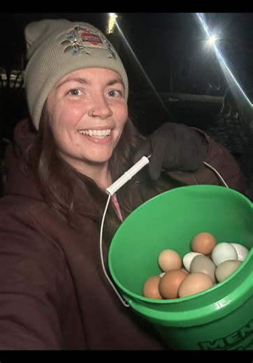 2/27/26 💕 this week was such a busy one for our family but I’ve been determined to document egg collecting everyday even if it means editing & posting 24 hrs later 🫣. Heading out now to film and collect today’s eggs. Do you all think we will have another goose egg today?
