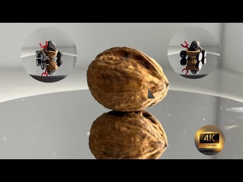 How I Made a Tiny Car from a Walnut!