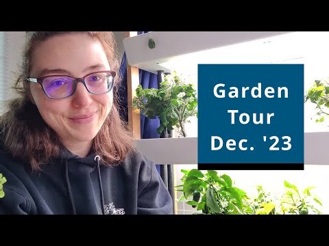 Hydroponic Garden Tour | pH and nutrient issues | Rise Gardens