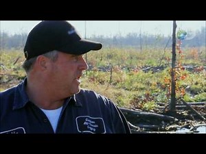 Swamp Loggers - Unexpected Vacation | Sink or Swim