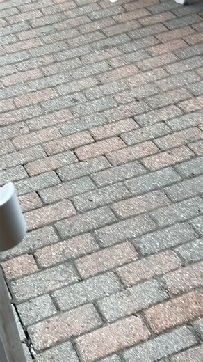 19 reactions | The First Dance on our garden Patio tonight - congratulations to Justin & Nicole! | The Bull Run Restaurant | Facebook