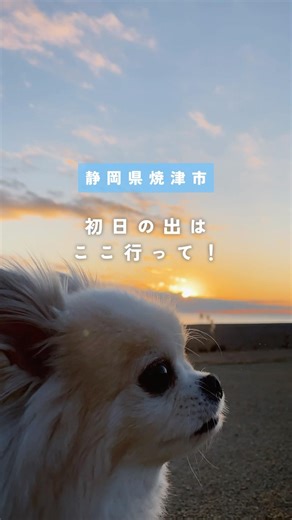 【焼津】海×初日の出が絶景！おすすめスポット3選