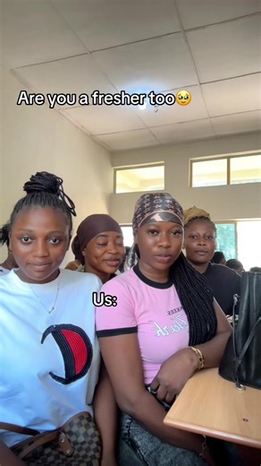 Humorous Insights for Fresh Learners