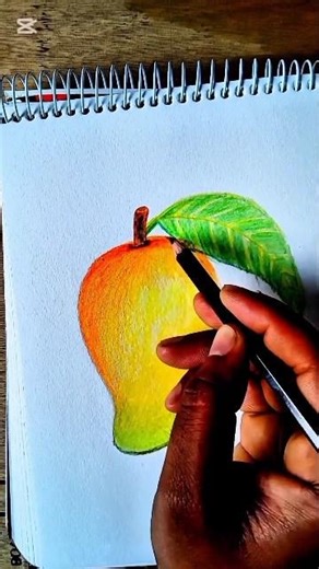 Mango drawing pencil colour drawing #rakeshartrs #shorts #drawing #mango