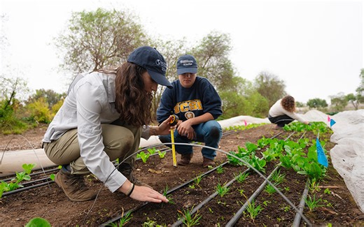 UC San Diego Launches Soil Health Center to Advance Climate Solutions, Food Security