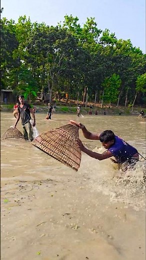 Wow! Amazing Polo Fishing Videos ! Best Big Fish Catching ! Primitive Technique fishing #fish #india